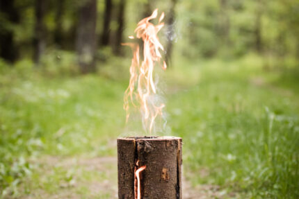 flaming swedish torch › nobother.ie